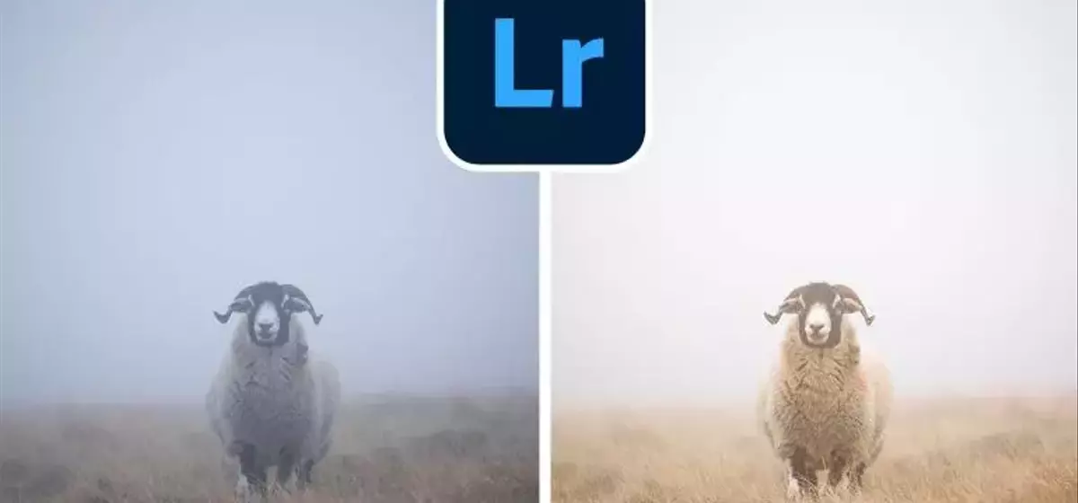 Meistern Sie die Nebelbearbeitung in Lightroom für atmosphärische Aufnahmen
