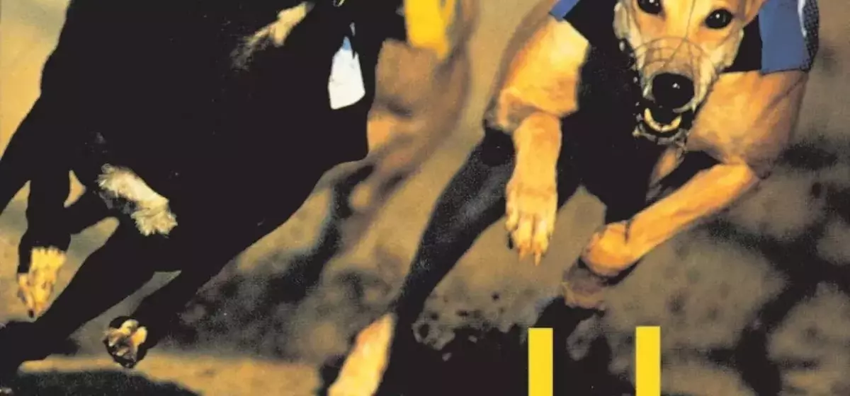 Die Kunst der Albumcover: Blurs "Parklife" und die ewige Faszination