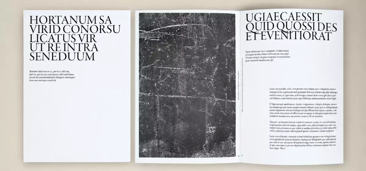 Minimalistisches Kunstbuch-Template für Adobe InDesign: Eine detaillierte Betrachtung