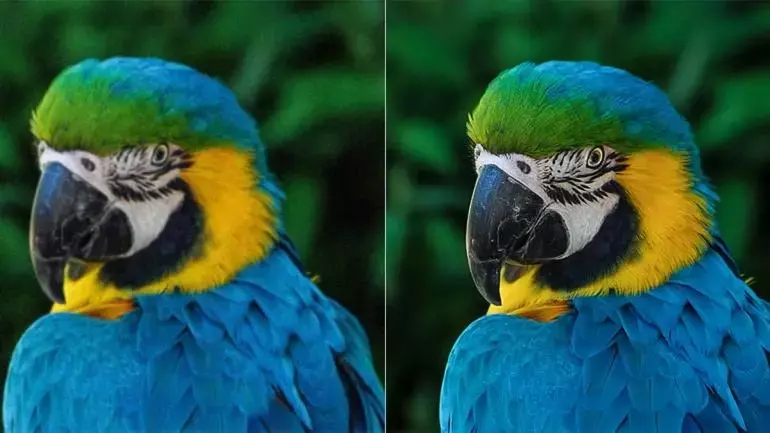 Aiarty Image Enhancer: KI-gestützte Bildoptimierung im Praxistest