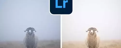 Meistern Sie die Nebelbearbeitung in Lightroom für atmosphärische Aufnahmen