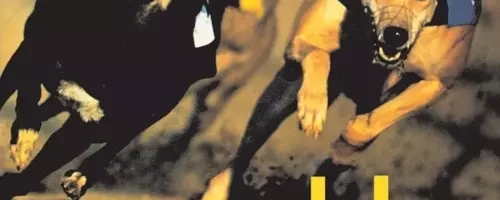 Die Kunst der Albumcover: Blurs "Parklife" und die ewige Faszination
