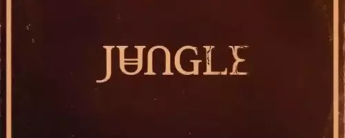 Jungle's 'Sunshine': Eine musikalische Reise durch Emotionen