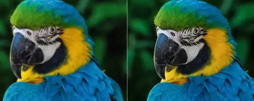 Aiarty Image Enhancer: KI-gestützte Bildoptimierung im Praxistest