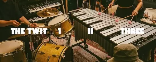The Twit 1, II, Three: Eine Genre-übergreifende musikalische Odyssee